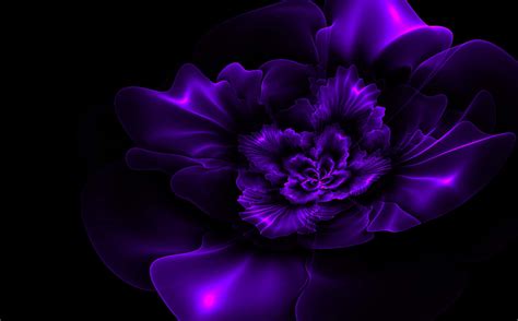 Download Purple And Black Background | Wallpapers.com