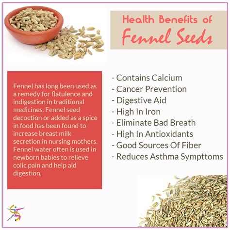 Health Benefits of Fennel Seeds ::#Healthtips #healthybody #fitbody | Benefits of fennel, Health ...