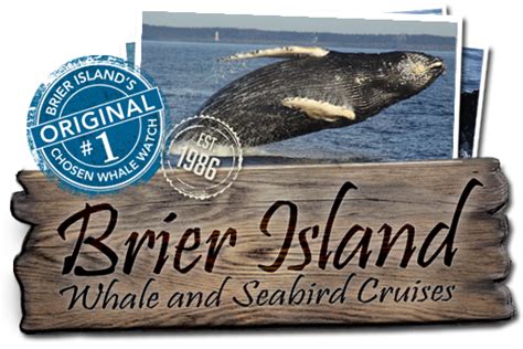 Brier Island Whale Watch | Whale Watching tours in Brier Island, Nova Scotia | Whale watching ...