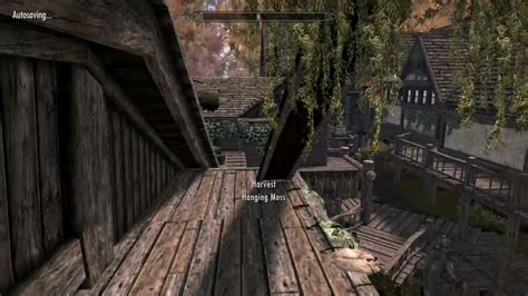 Welcome to Riften, Guild City of Thieves. : r/SkyrimModsXbox