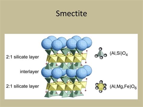 Phyllosilicate clays