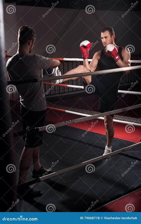 Men Training Kick Boxing Hook Stock Photo - Image of serious, kick: 79668718