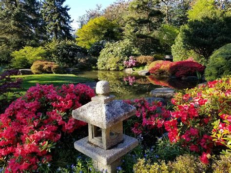 9 places to see breathtaking blooms in Seattle this spring