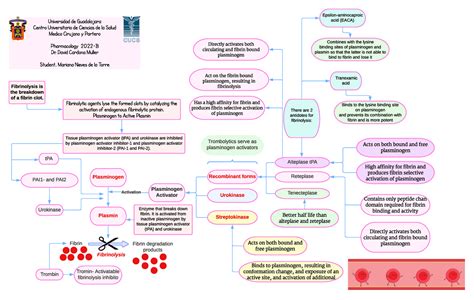 Diagram Pharma - Fibrin degradation products Fibrinolysis Fibrin ...