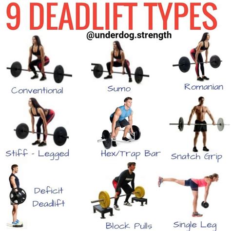 How to Deadlift Properly (For Beginners) - Underdog Strength Training | Barbell workout ...