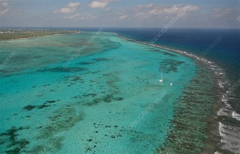 Fringing reef - Stock Image - C025/1405 - Science Photo Library