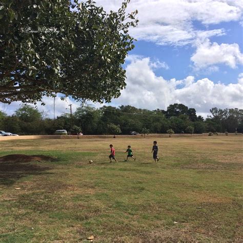 Hawaii Mom Blog: Haleiwa Beach Park