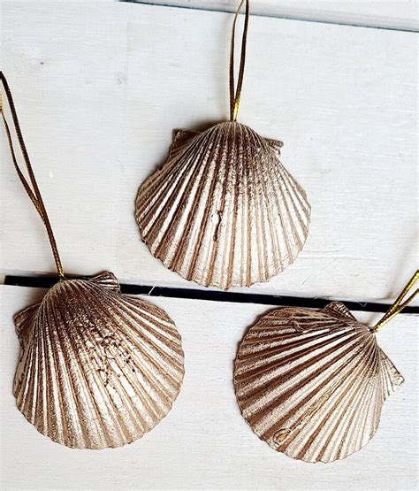 Set of 3 Scallop Shell Ornaments Seashell Ornaments - Etsy