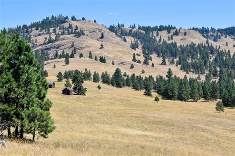 Afternoon Hike on Montana’s Wild Horse Island – Patricia Heatherington.com