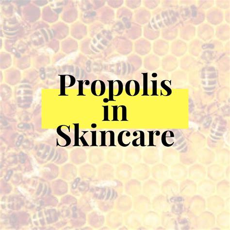 Propolis For Skin | Propolis In Skincare, Is It Good? — miracikcit