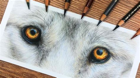 How To Draw Wolf Eyes Step By Step