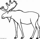 Free Printable Moose Coloring Pages For Kids Col  Vrogueco sketch template