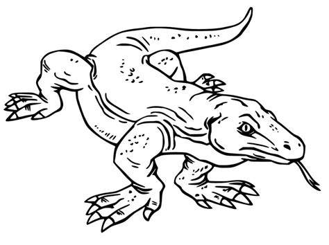 Komodo Dragon 2 Coloring Page - Free Printable Coloring Pages for Kids