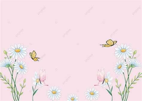 523 Background Bunga Daisy For FREE - MyWeb