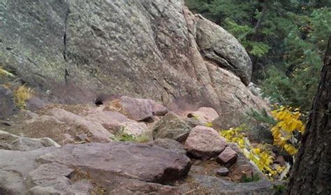 Fern Canyon | City of Boulder