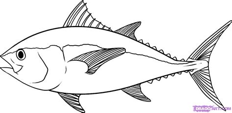 Yellowfin Tuna Drawing at GetDrawings | Free download