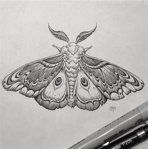 moth butterfly night tattoo tattoos tattooed ink inked draw drawing pen ...