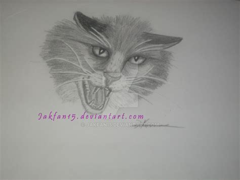 Angry Cat by Jakfan15 on DeviantArt