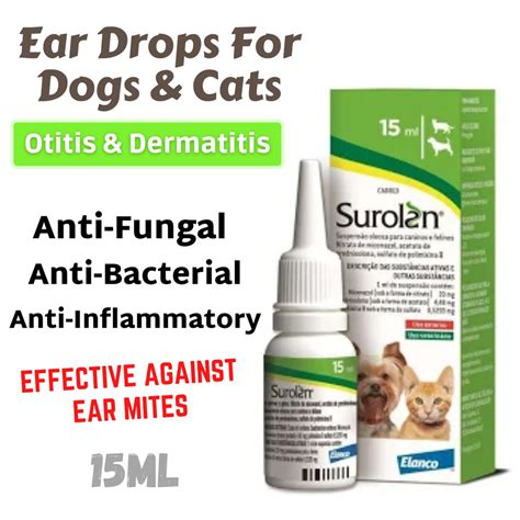 Veraflox For Cats Ear Infection - Cat Meme Stock Pictures and Photos