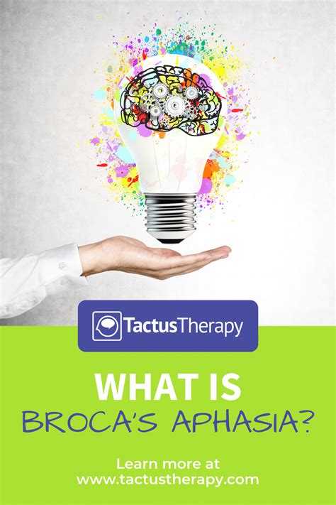 What is Broca's Aphasia? Non-fluent aphasia explained with video