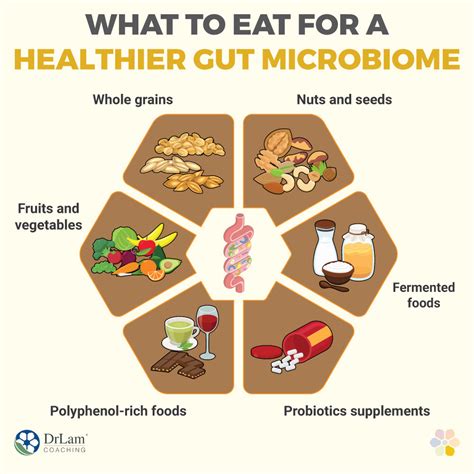 An Intro to Your Gut Microbiome and Foods to Keep It Healthy