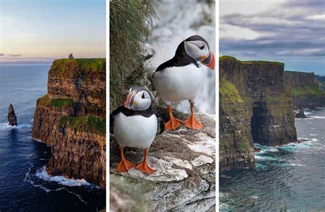 Best Cliffs of Moher Tour From Dublin » Maps 'N Bags