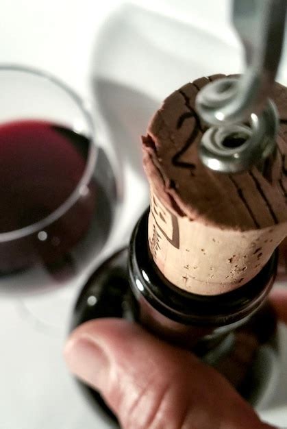 Premium Photo | Cropped image of hand holding wine bottle