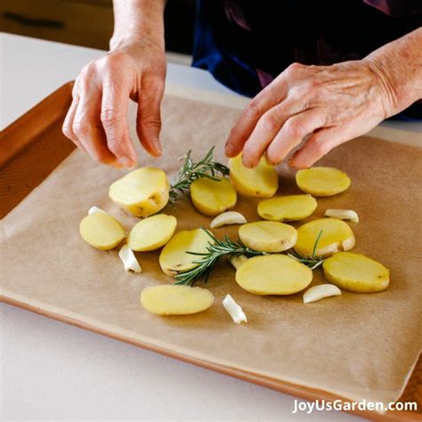 Uses for Rosemary: How to Enjoy this Aromatic Plant