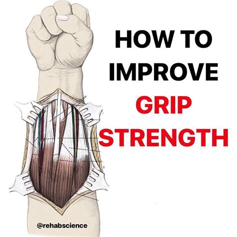 Best Grip Strength Techniques at Lizzie Gutierrez blog