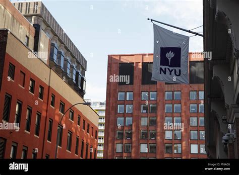 New York University buildings with the purple NYU logo flag hanging ...