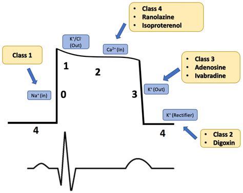 JCM | Free Full-Text | Pharmacologic Management for Ventricular ...