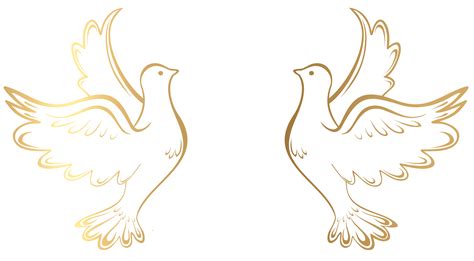 Dove clipart wedding, Dove wedding Transparent FREE for download on WebStockReview 2024