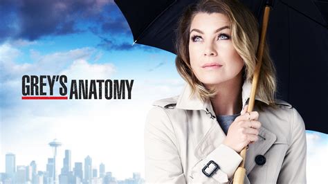 Watch Grey's Anatomy · Season 12 Full Episodes Online - Plex