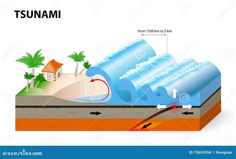 Tsunami Wave Diagram