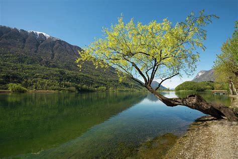 Reflection Of Mountains In The Lake, Lago Di Piano, Near Porlezza, Province Of Como, Lombardy ...