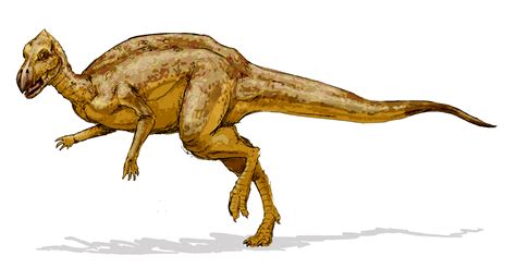 File:Zalmoxes dinosaur.png - Wikipedia