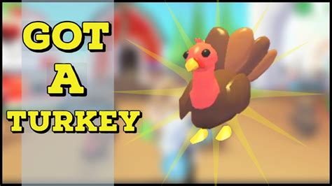 Adopt Me Farm Pet Update I got a Turkey - YouTube