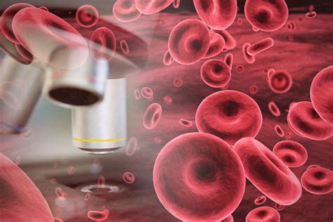 Blood Analysis and Courses