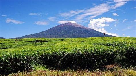 The Kerinci Seblat National Park | Authentic Indonesia Blog