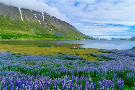 Iceland in May: Travel Tips, Weather, & More | kimkim