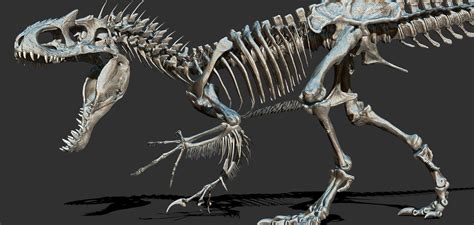 ArtStation - Indominus rex Skeleton by. VI models, Vitamin Imagination ...