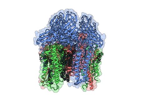 Methane Mitigation – SWANSON LAB