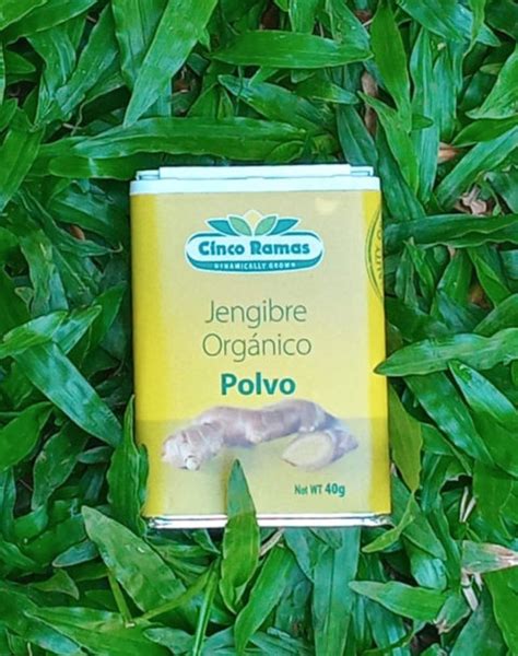 Jengibre en polvo (40 grs) - Sabellico Costa Rica