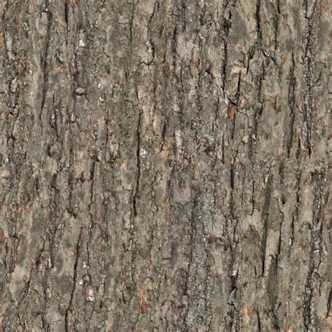 Wood tree bark seamless texture – 12 Stones Farm