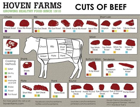 Meat Chart Of A Cow