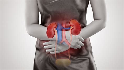 9 Signs to Learn If You Have Kidney Disease