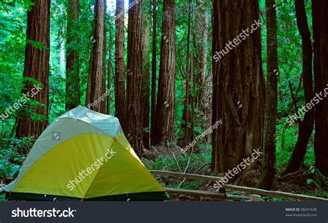 Camping Near The Redwood Forest Stock Photo 58241638 : Shutterstock