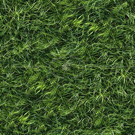 Grass Texture Seamless Psd Texture Seamless Textures Soft Textures My 31050 | The Best Porn Website