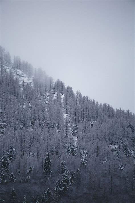 Winter wonderland - Switzerland on Behance