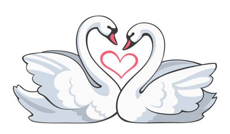 Drawing Of Two Swans Love Illustrations, Royalty-Free Vector Graphics ...